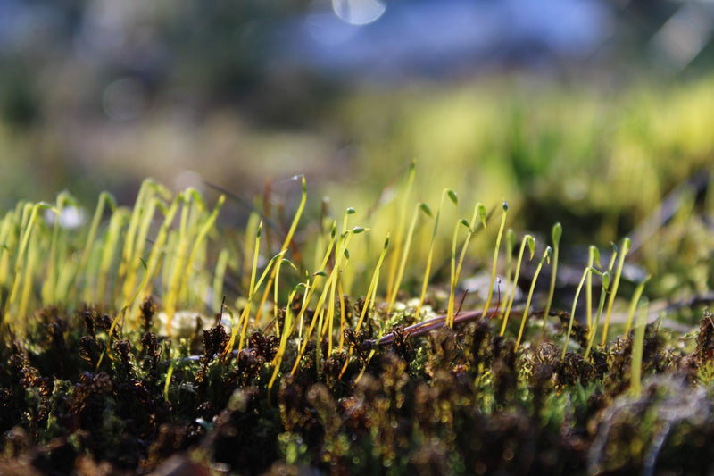the-ultimate-co2-guide-for-